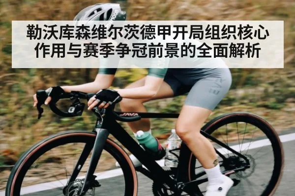 勒沃库森维尔茨德甲开局组织核心作用与赛季争冠前景的全面解析